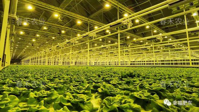 投資28億元!春禾智慧農業產業園、光伏發電項目落戶肥東!