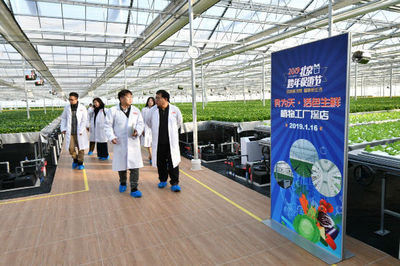 2019北京跨年促銷節品質升級 水培蔬菜點綴綠色生活