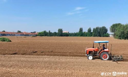 特色金融產(chǎn)品助力桓臺(tái)農(nóng)業(yè)產(chǎn)業(yè)發(fā)展提質(zhì)增效