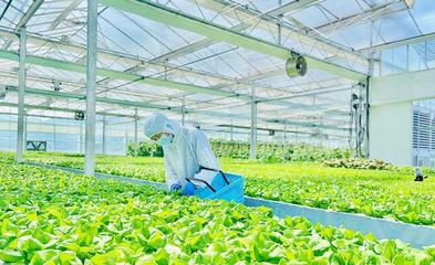 日銷超3噸!余姚這個植物&ldquo;夢工廠&rdquo;解鎖四季豐收密碼