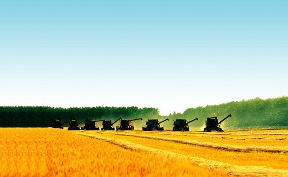 [中研普華]全球糧食價(jià)格及我國(guó)糧食安全分析