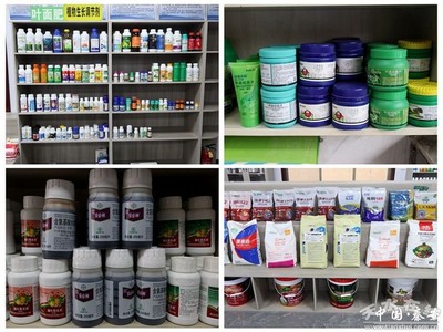 秦安:農(nóng)資儲(chǔ)備充足 春耕不誤農(nóng)時(shí)(圖)