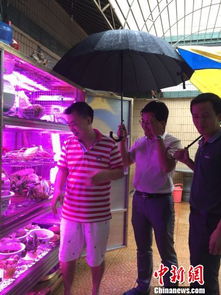 廣東普寧創(chuàng)客發(fā)明 植物工廠 可降解農(nóng)產(chǎn)品殘留農(nóng)藥