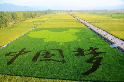 鄉村振興視域下的工農關系變革 改革開放四十年的啟示