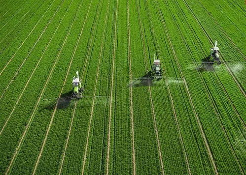 百果園發(fā)力果蔬加工 以全程托管服務(wù)增值農(nóng)業(yè)，賦能生態(tài)農(nóng)業(yè)新生態(tài)