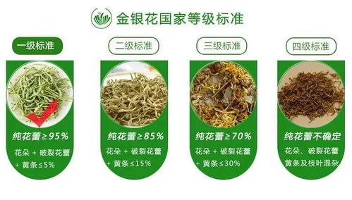 廣西巴馬意生活生態(tài)農(nóng)業(yè)產(chǎn)品正式上市 健康農(nóng)業(yè)新標(biāo)桿，綠色生活新風(fēng)尚