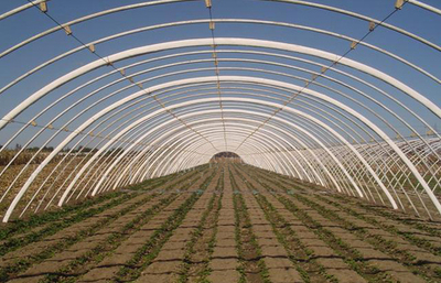 安陽(yáng)市佳和農(nóng)業(yè) 專業(yè)品質(zhì)，護(hù)航現(xiàn)代農(nóng)業(yè)——大棚配件廠家的卓越實(shí)踐