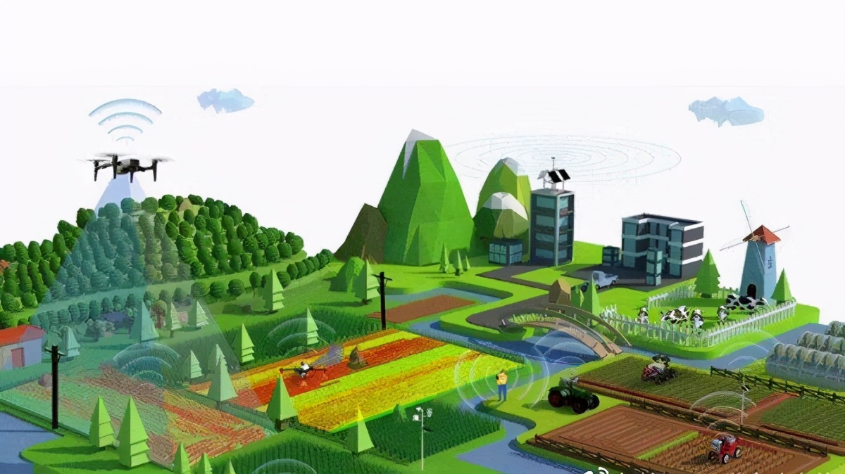 數(shù)字賦能 鄉(xiāng)村振興戰(zhàn)略下農(nóng)業(yè)現(xiàn)代化的新引擎