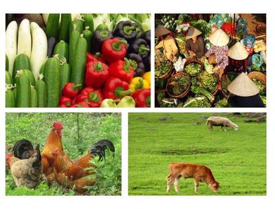 發(fā)展現(xiàn)代農(nóng)業(yè) 農(nóng)產(chǎn)品商標(biāo)注冊(cè)的策略與選擇