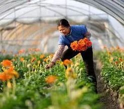 國(guó)家扶貧日 產(chǎn)業(yè)扶貧十大機(jī)制創(chuàng)新典型發(fā)布，農(nóng)業(yè)領(lǐng)域展現(xiàn)脫貧攻堅(jiān)新路徑